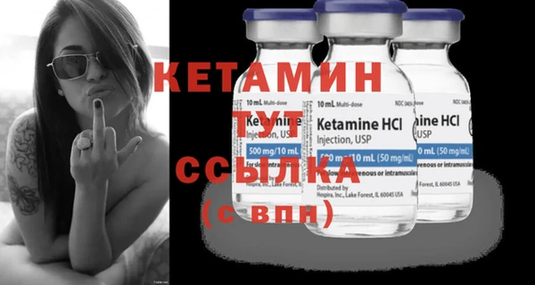 крисы Баксан