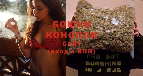 крисы Баксан